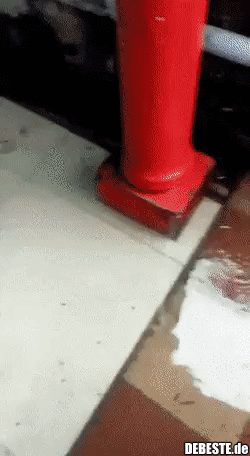 Die wohnen jetzt hier..