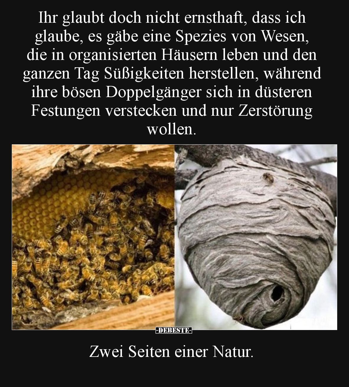 Ihr glaubt doch nicht ernsthaft, dass ich glaube, es gäbe eine Spezies von Wesen, die in organisierten Häusern leben und den ...