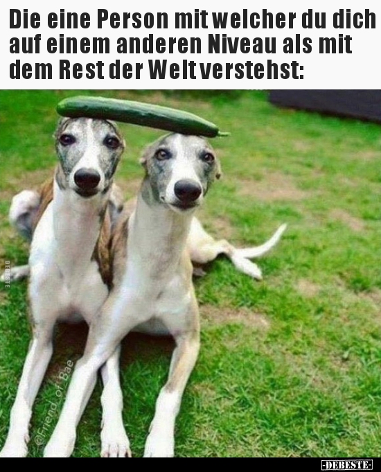 Die eine Person mit welcher du dich auf einem anderen..