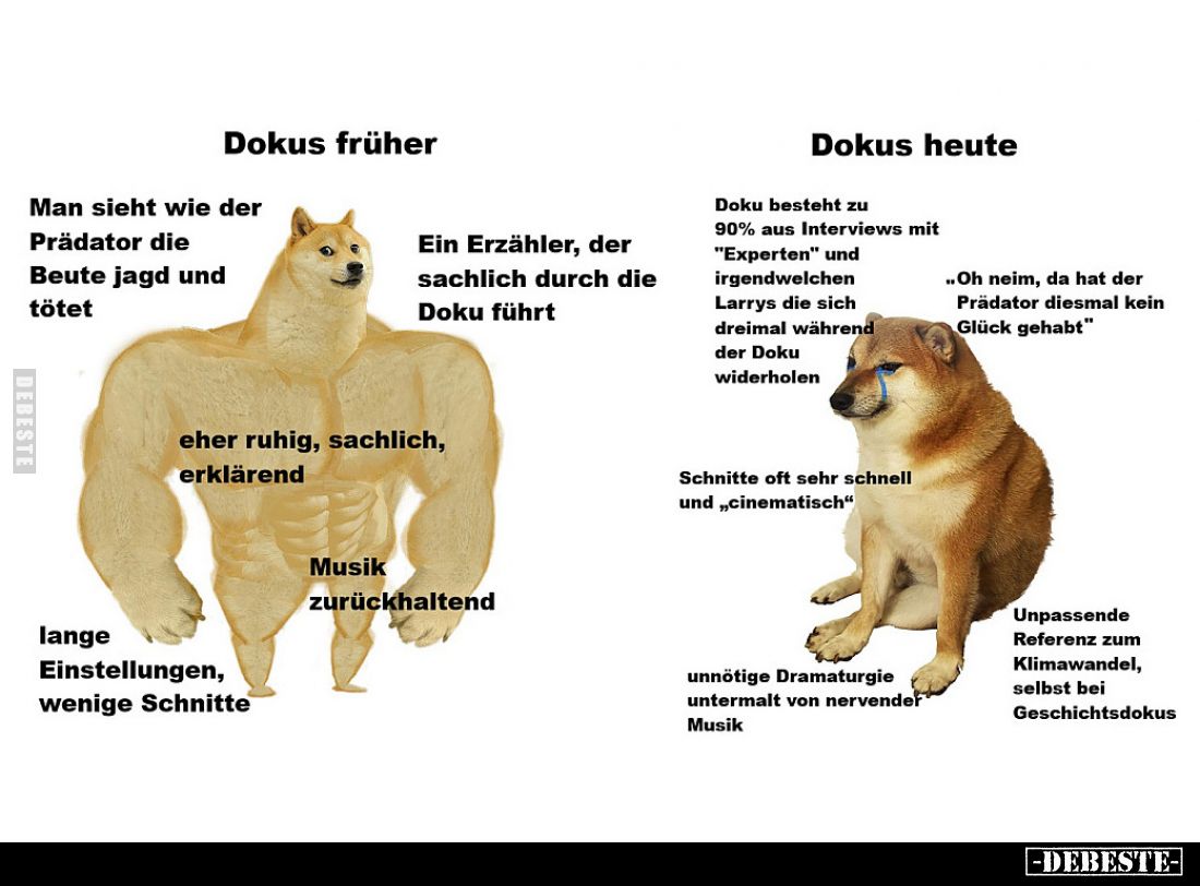 Dokus früher
-
Dokus heute