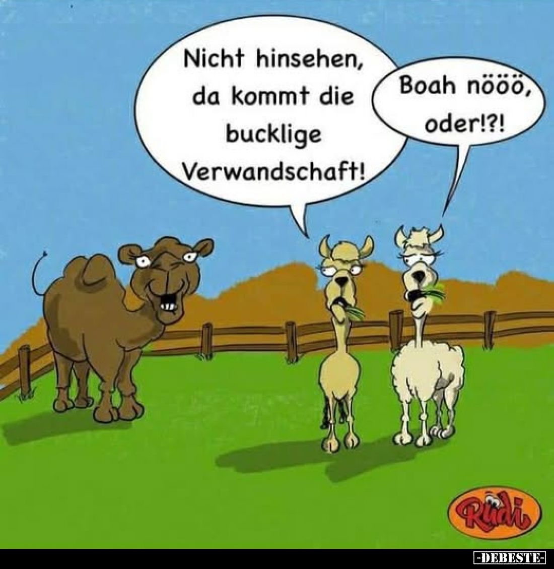 Nicht hinsehen, da kommt die bucklige Verwandschaft!
Boah nööö, oder!?!