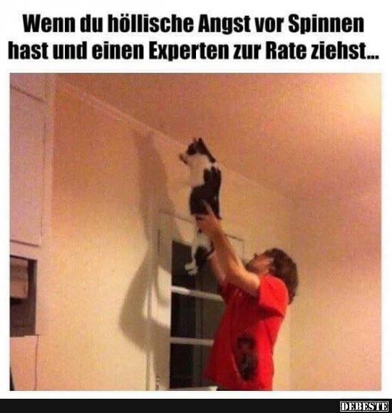 Wenn du höllische Angst vor Spinnen hast und.. - Lustige Bilder | DEBESTE.de