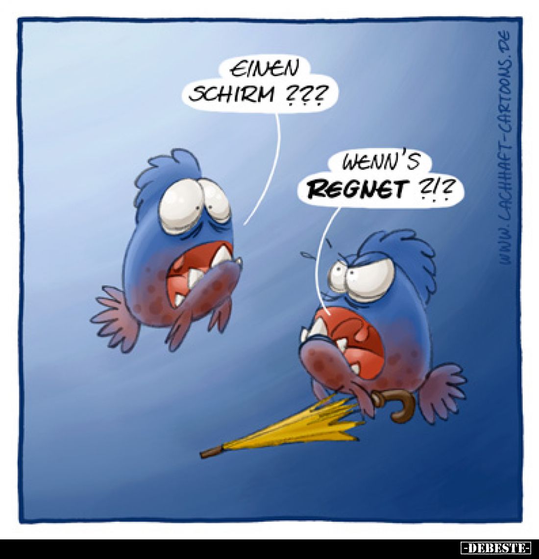 Einen Schirm???
Wenn's regnet?!?