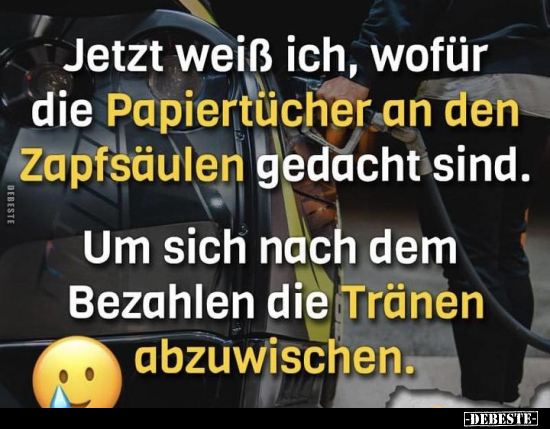 Jetzt weiß ich, wofür die Papiertücher an den Zapfsäulen.. - Lustige Bilder | DEBESTE.de