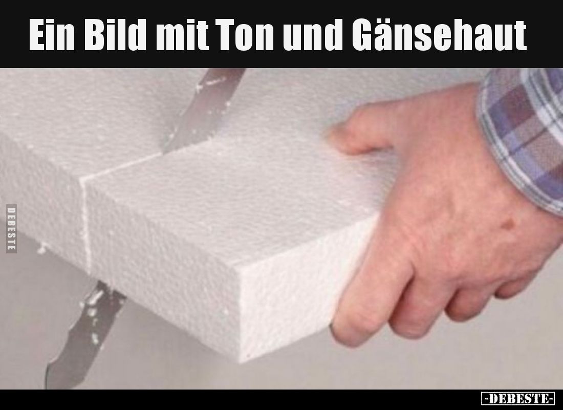 Ein Bild mit Ton und Gänsehaut