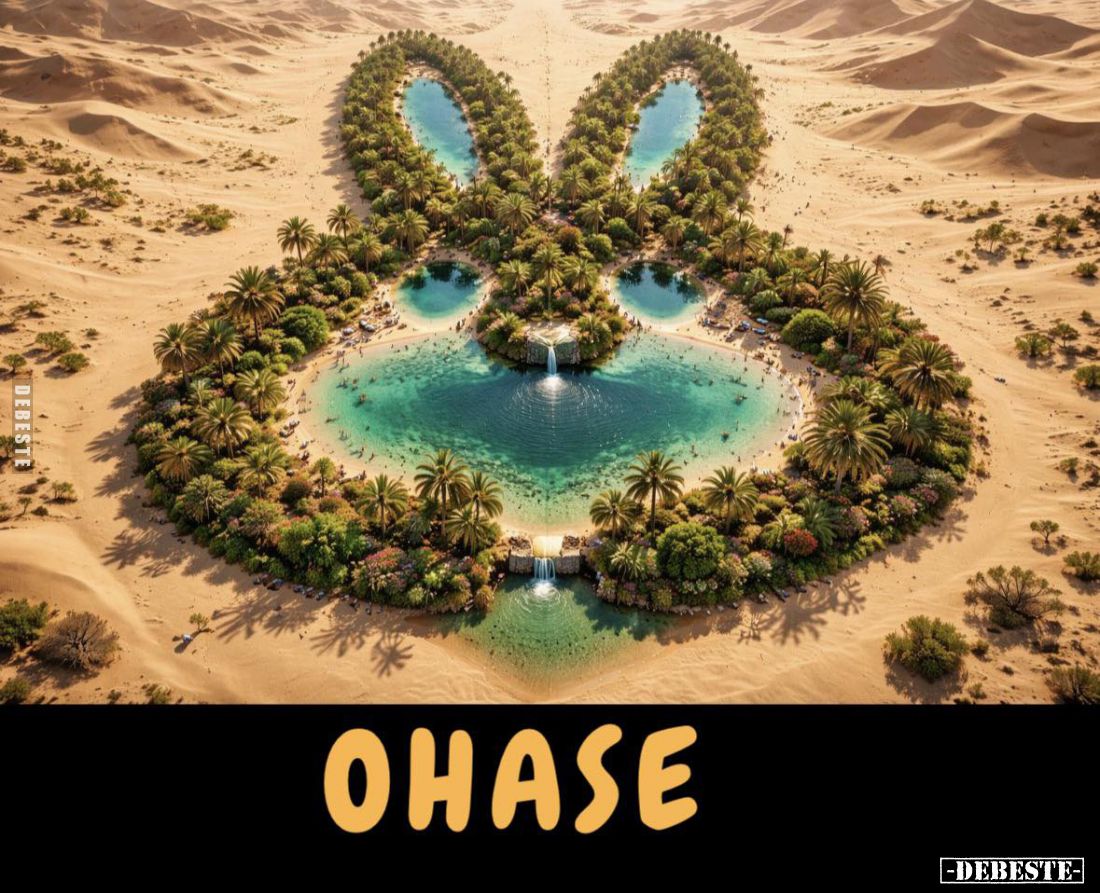 Ohase... - Lustige Bilder | DEBESTE.de