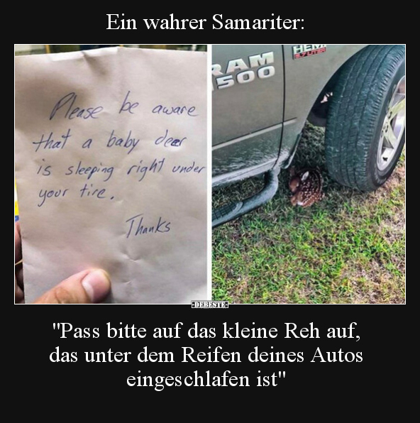 Ein wahrer Samariter: "Pass bitte auf das kleine Reh auf.." - Lustige Bilder | DEBESTE.de