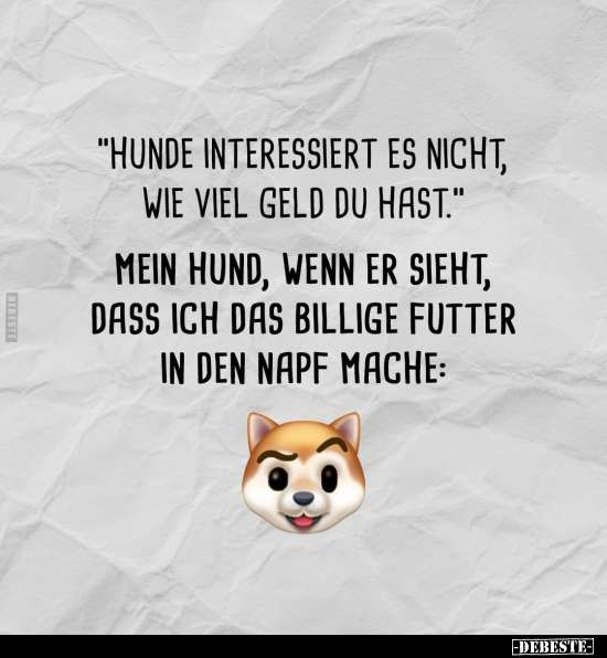 "Hunde interessiert es nicht, wie viel Geld du hast.." - Lustige Bilder | DEBESTE.de
