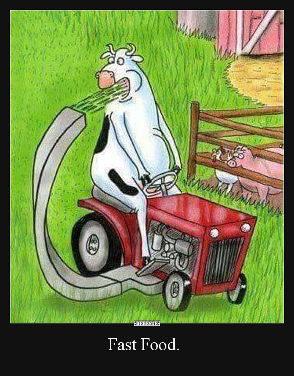 Fast Food.