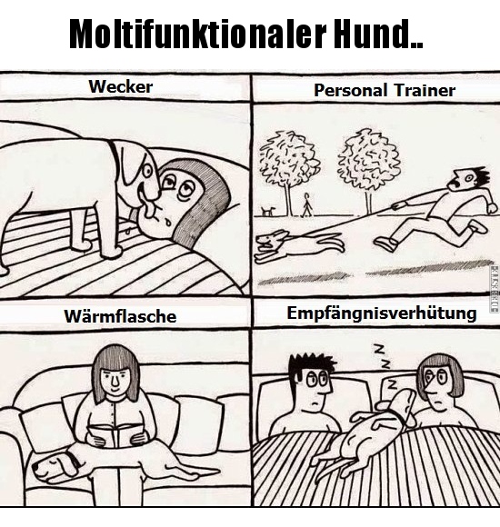 


Moltifunktionaler Hund..


