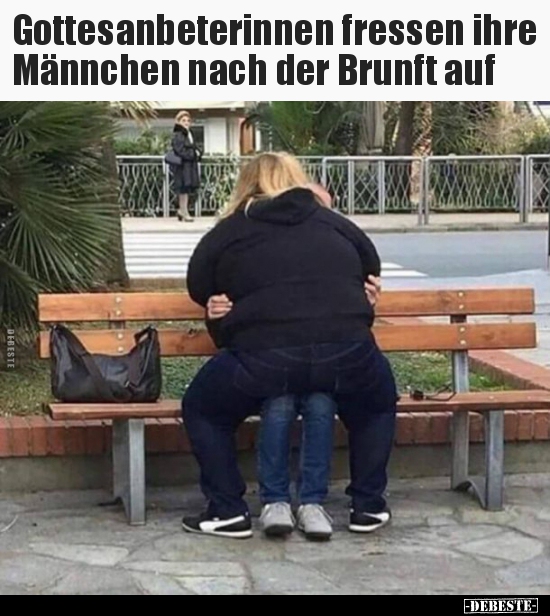 Gottesanbeterinnen fressen ihre Männchen nach der Brunft..