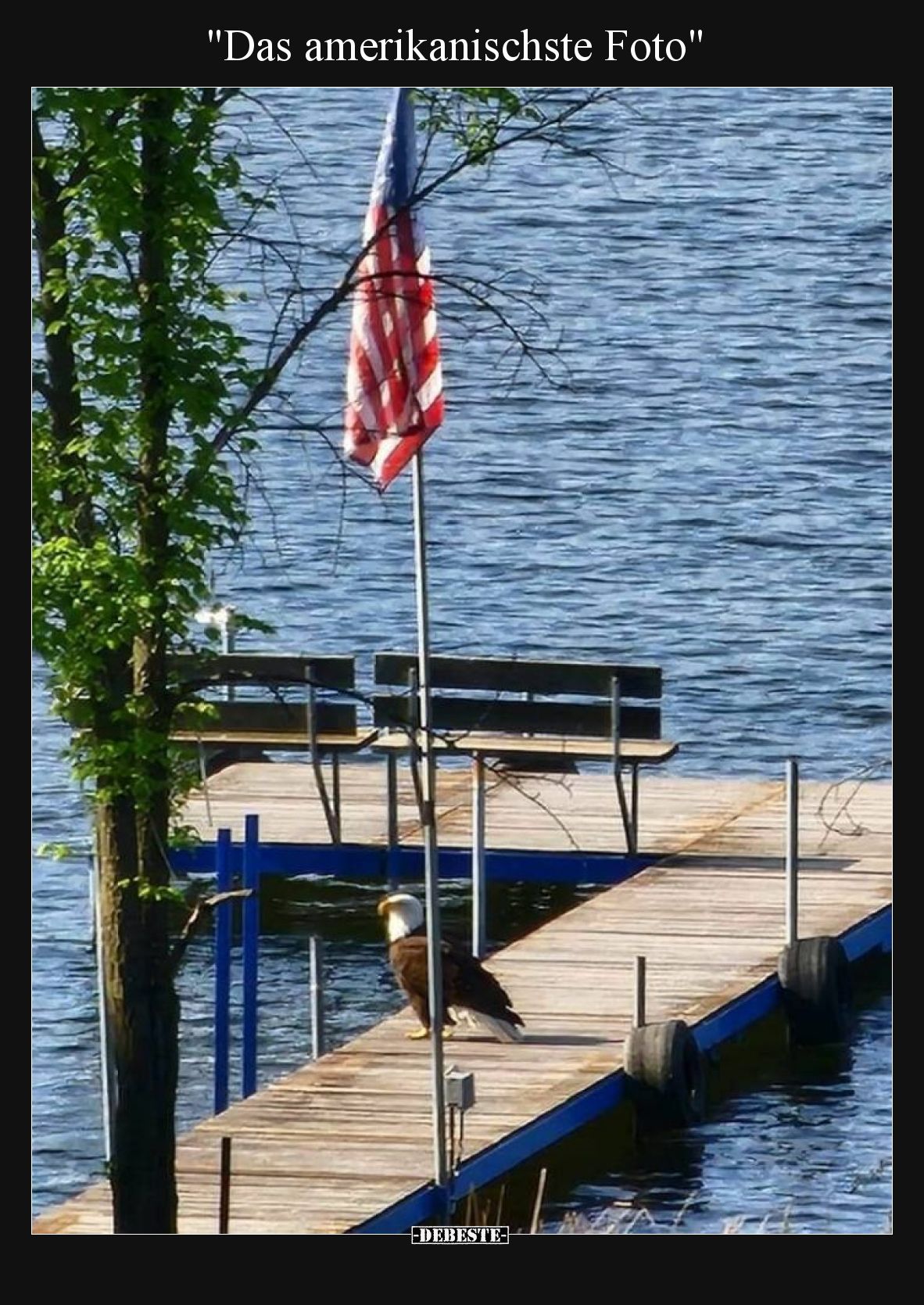 "Das amerikanischste Foto".. - Lustige Bilder | DEBESTE.de