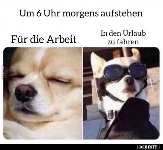 Um 6 Uhr morgens aufstehen.. - Lustige Bilder | DEBESTE.de