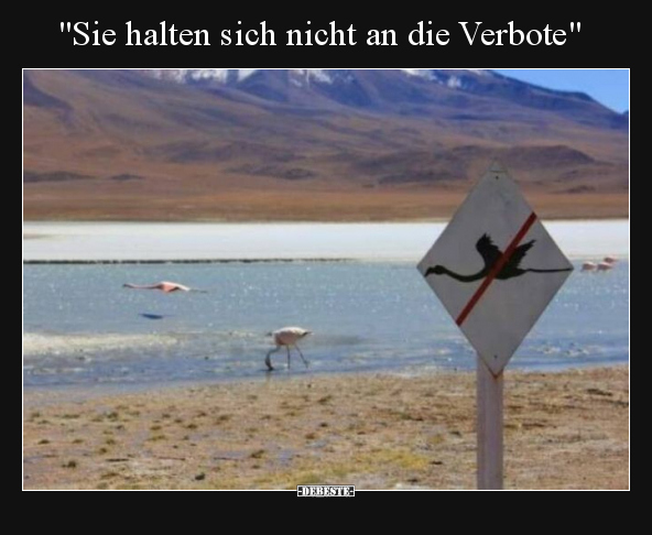 "Sie halten sich nicht an die Verbote".. - Lustige Bilder | DEBESTE.de