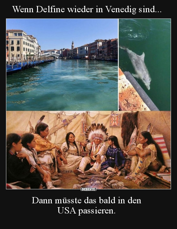 Wenn Delfine wieder in Venedig sind... - Lustige Bilder | DEBESTE.de