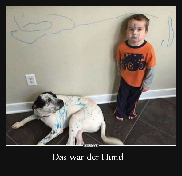 Das war der Hund!..