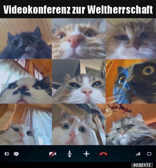 Videokonferenz zur Weltherrschaft.. - Lustige Bilder | DEBESTE.de