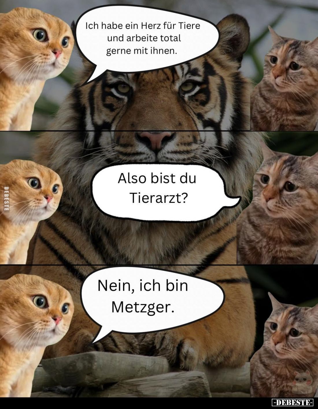 Ich habe ein Herz für Tiere und arbeite total gerne mit ihnen.

Also bist du Tierarzt?

Nein, ich bin Metzger.