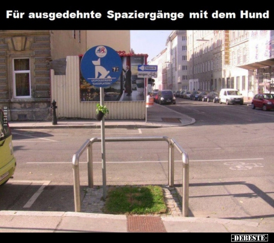 Für ausgedehnte Spaziergänge mit dem Hund..