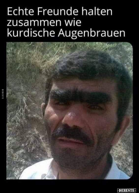 Echte Freunde halten zusammen wie kurdische Augenbrauen.. - Lustige Bilder | DEBESTE.de
