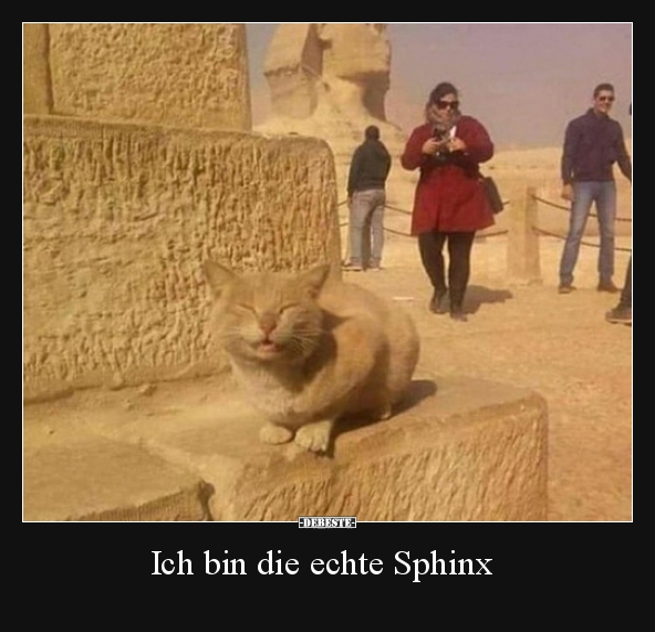 Ich bin die echte Sphinx.. - Lustige Bilder | DEBESTE.de