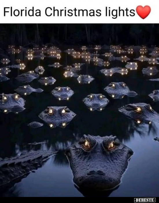 Florida Christmas lights... - Lustige Bilder | DEBESTE.de