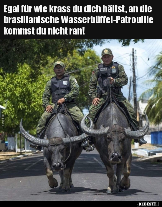 Egal für wie krass du dich hältst, an die brasilianische..