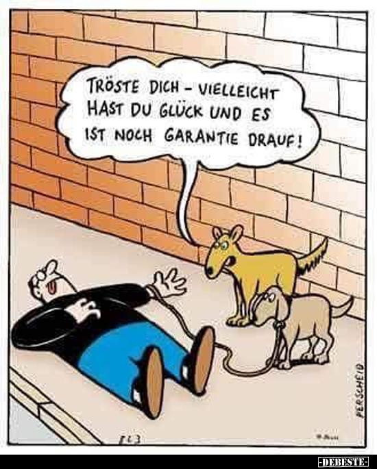 Tröste dich - vielleicht hast du Glück und es ist noch..