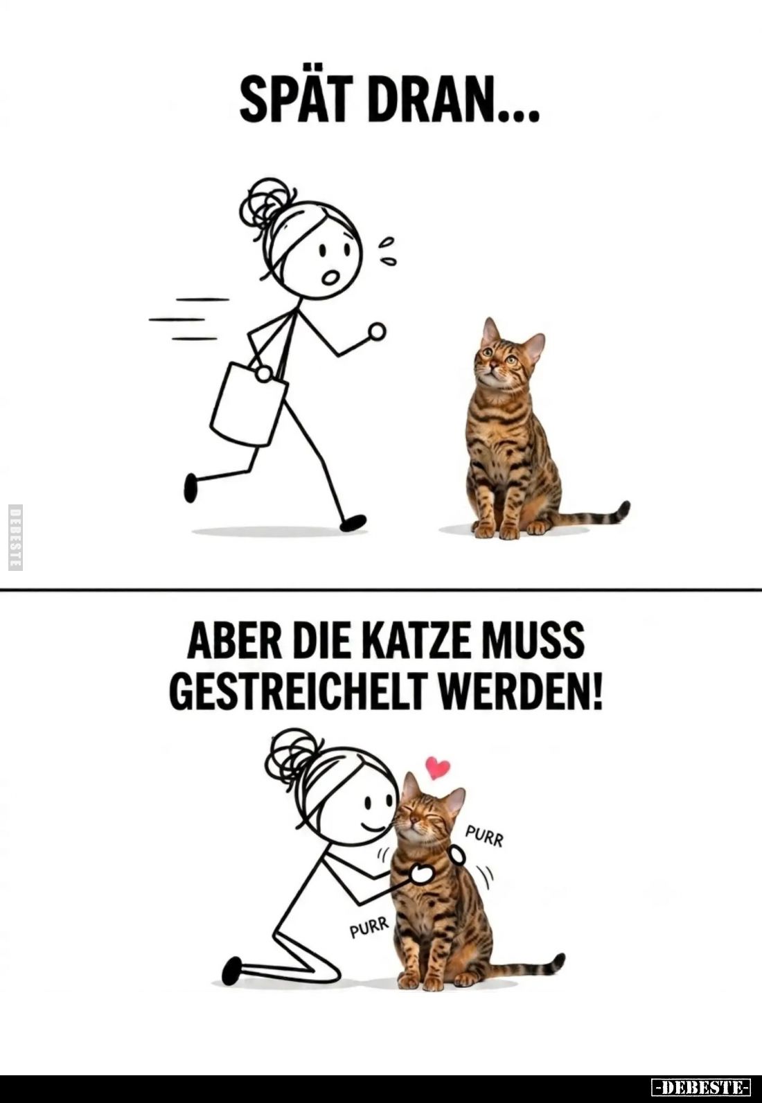 Spät dran...
Aber die Katze muss gestreichelt werden!