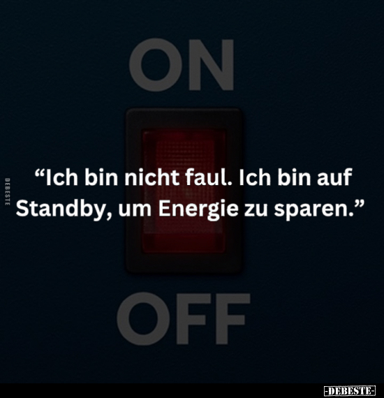 "Ich bin nicht faul. Ich bin auf Standby, um Energie zu.." - Lustige Bilder | DEBESTE.de