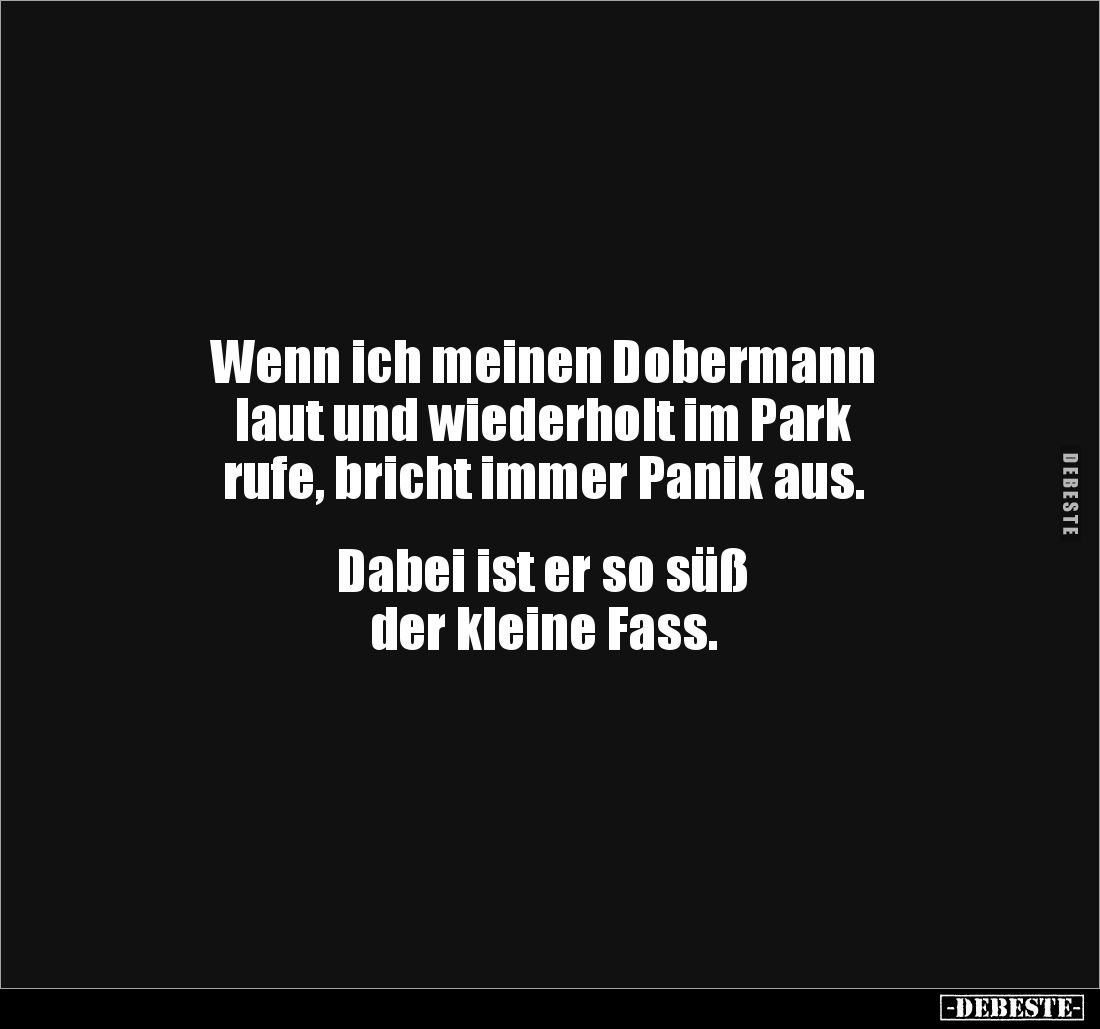 Wenn ich meinen Dobermann
laut und wiederholt im Park
rufe, bricht immer Panik aus.
Dabei ist er so süß
der kleine...