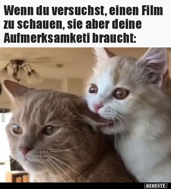 Wenn du versuchst, einen Film zu schauen, sie aber deine..