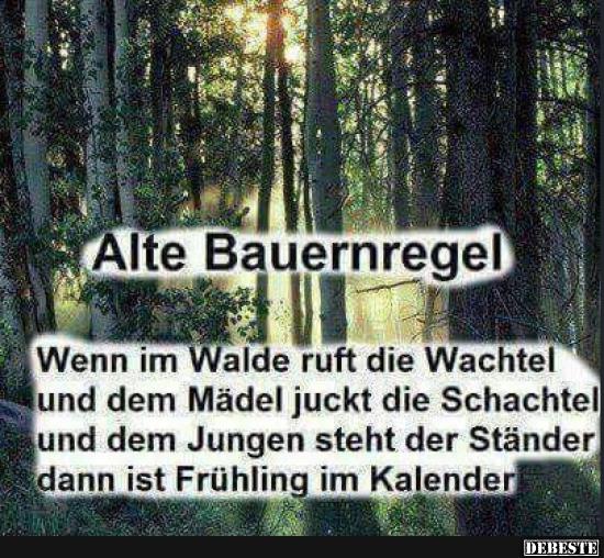 Wenn im Walde ruft die Wachtel.. - Lustige Bilder | DEBESTE.de