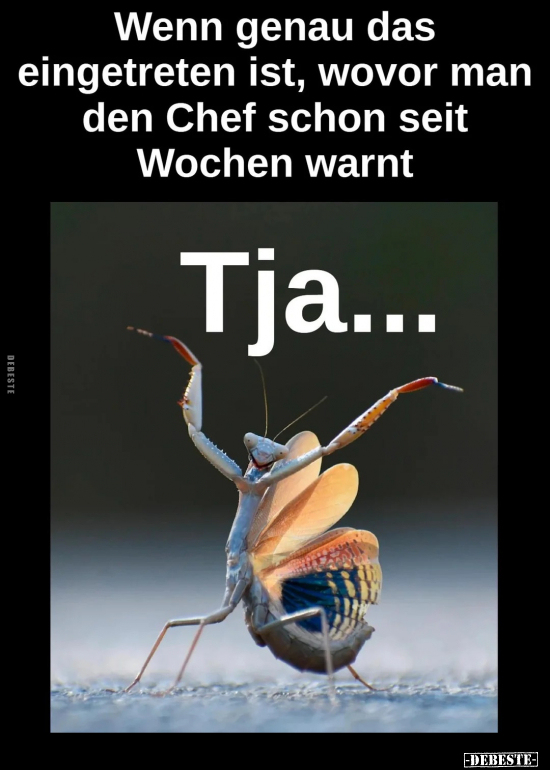 Wenn genau das eingetreten ist, wovor man den Chef schon.. - Lustige Bilder | DEBESTE.de