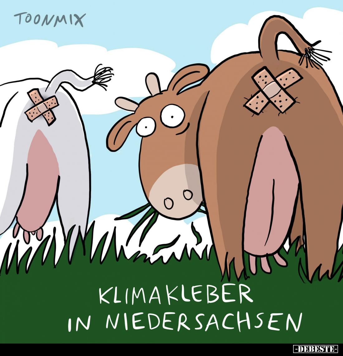 Klima Kleber in Niedersachsen.