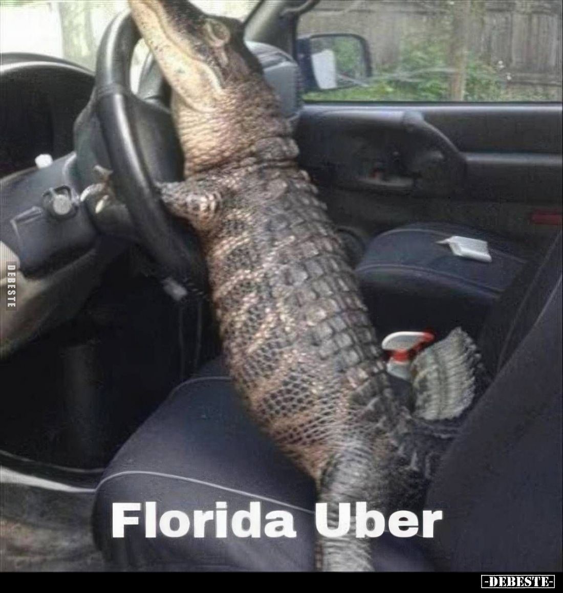  - Lustige Bilder | DEBESTE.de