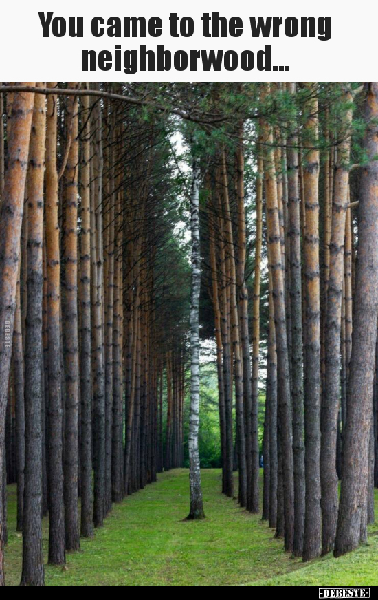 You came to the wrong neighborwood...