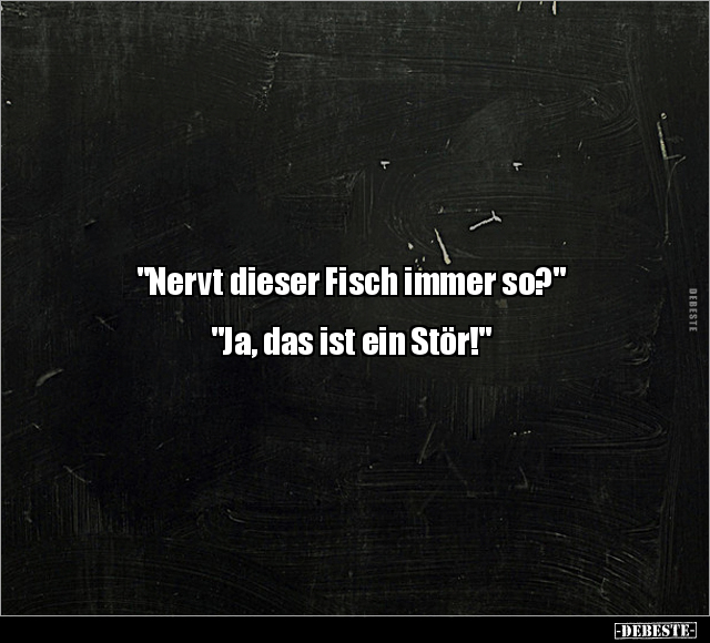 "Nervt dieser Fisch immer so?".. - Lustige Bilder | DEBESTE.de