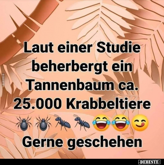 Laut einer Studie beherbergt ein  Tannenbaum ca. 25.000 Krabbeltiere.. - Lustige Bilder | DEBESTE.de