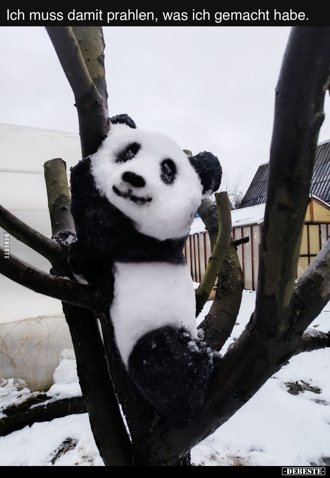 Ich muss damit prahlen, was ich gemacht habe.