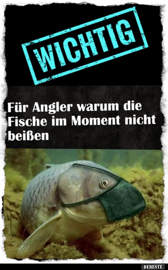 Für Angler warum die Fische im Moment nicht beißen... - Lustige Bilder | DEBESTE.de
