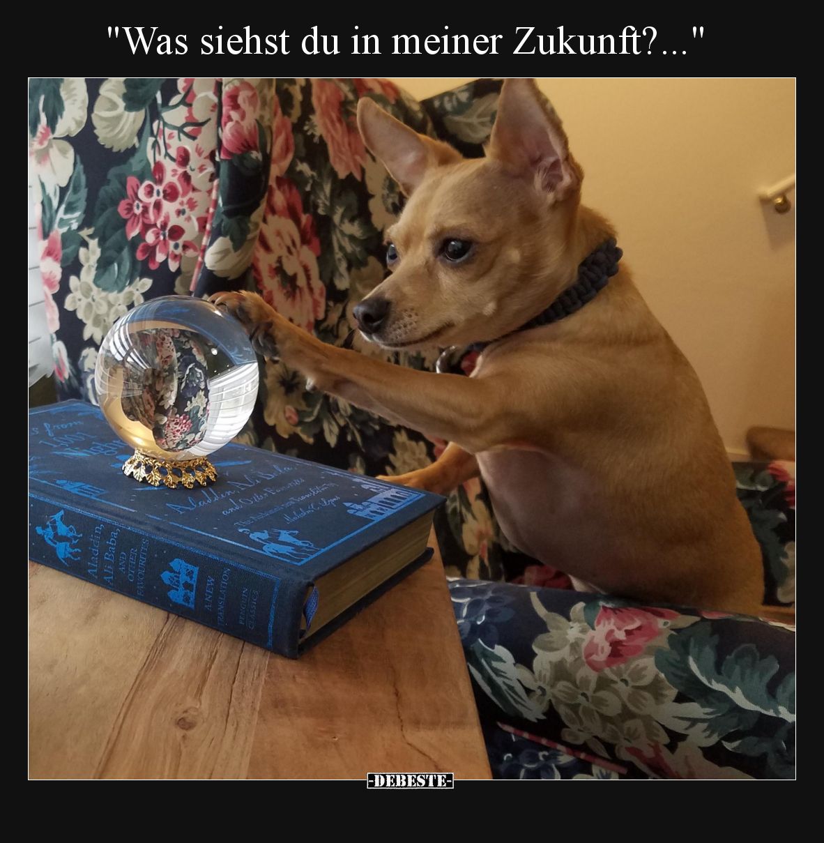 Was siehst du in meiner Zukunft?