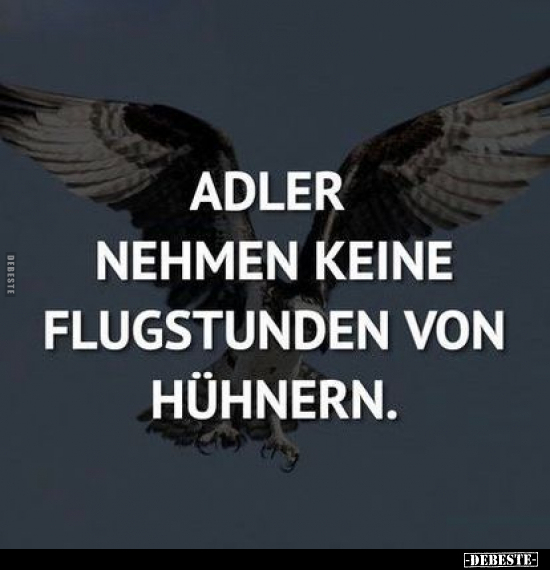 Adler nehmen keine Flugstunden von Hühnern... - Lustige Bilder | DEBESTE.de