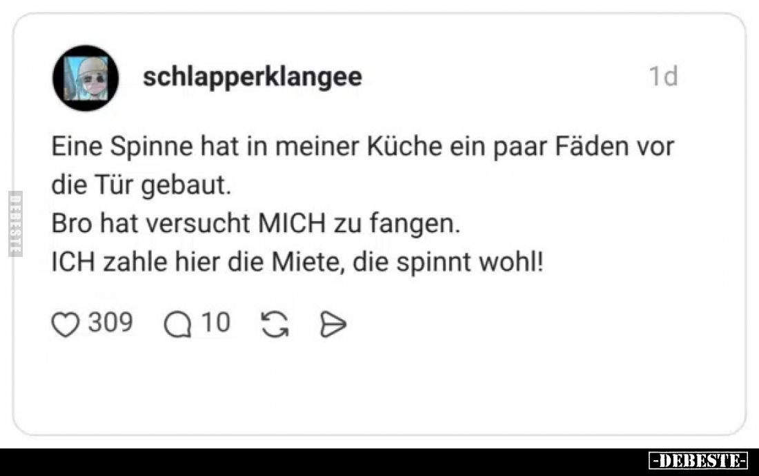 Eine Spinne hat in meiner Küche ein paar Fäden vor die Tür gebaut.
Bro hat versucht mich zu fangen.
Ich zahle hier die Miet...