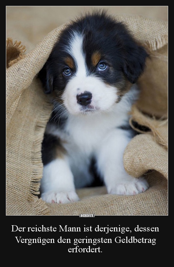 Der reichste Mann ist derjenige, dessen Vergnügen..