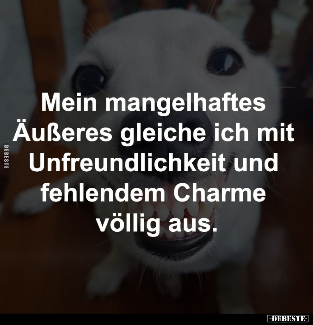 Mein mangelhaftes Äußeres
gleiche ich mit Unfreundlichkeit
und fehlendem Charme völlig aus.