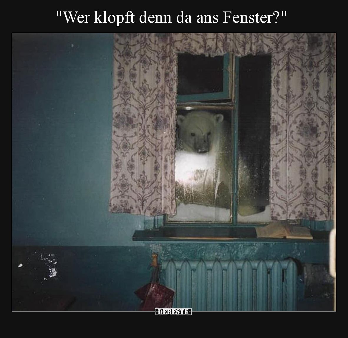Wer klopft denn da ans Fenster?