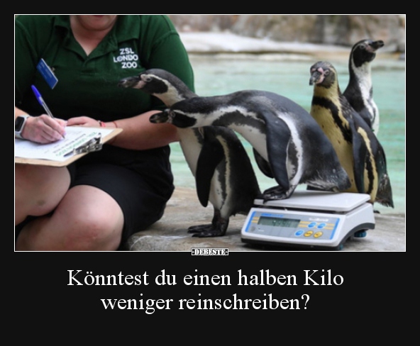 Könntest du einen halben Kilo weniger reinschreiben?..