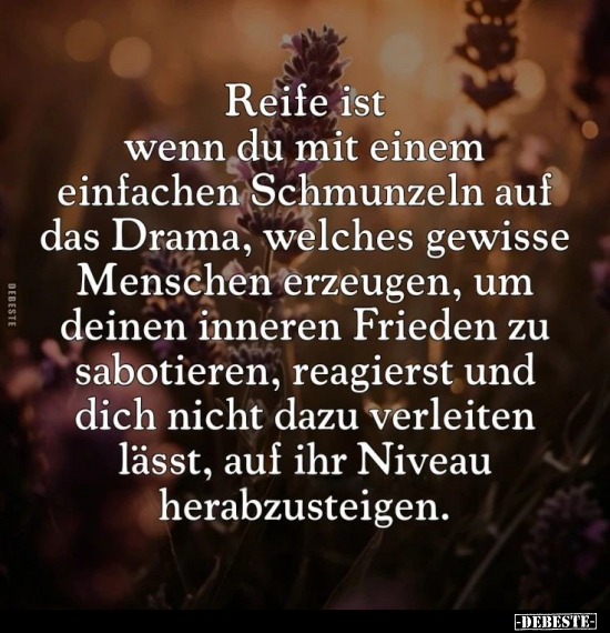 Reife ist wenn du mit einem einfachen Schmunzeln auf das Drama.. - Lustige Bilder | DEBESTE.de