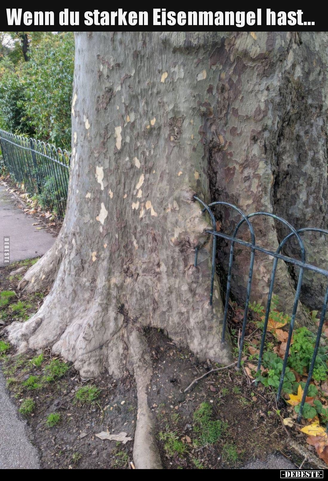 Wenn du starken Eisenmangel hast...